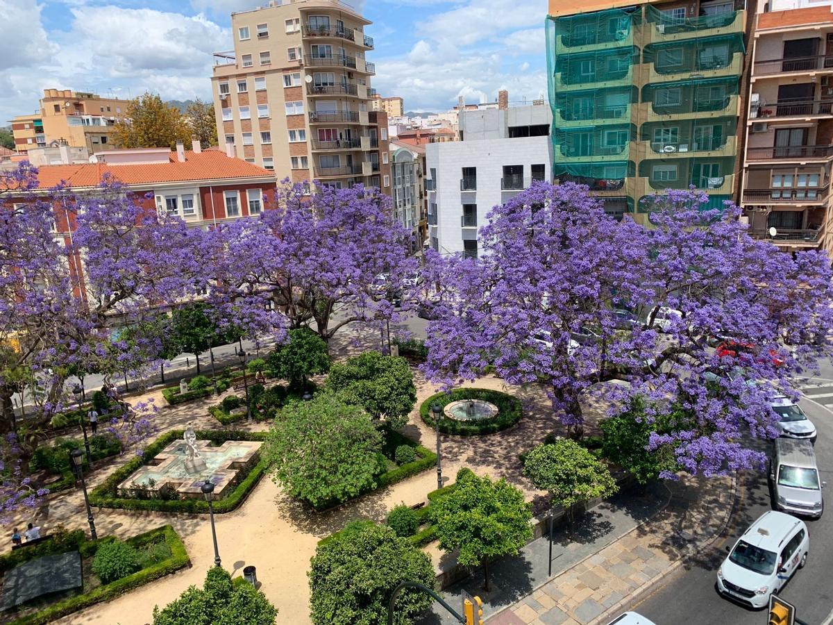 Jardín de la Victoria, Jardín de los Monos, con las jacarandas en flor