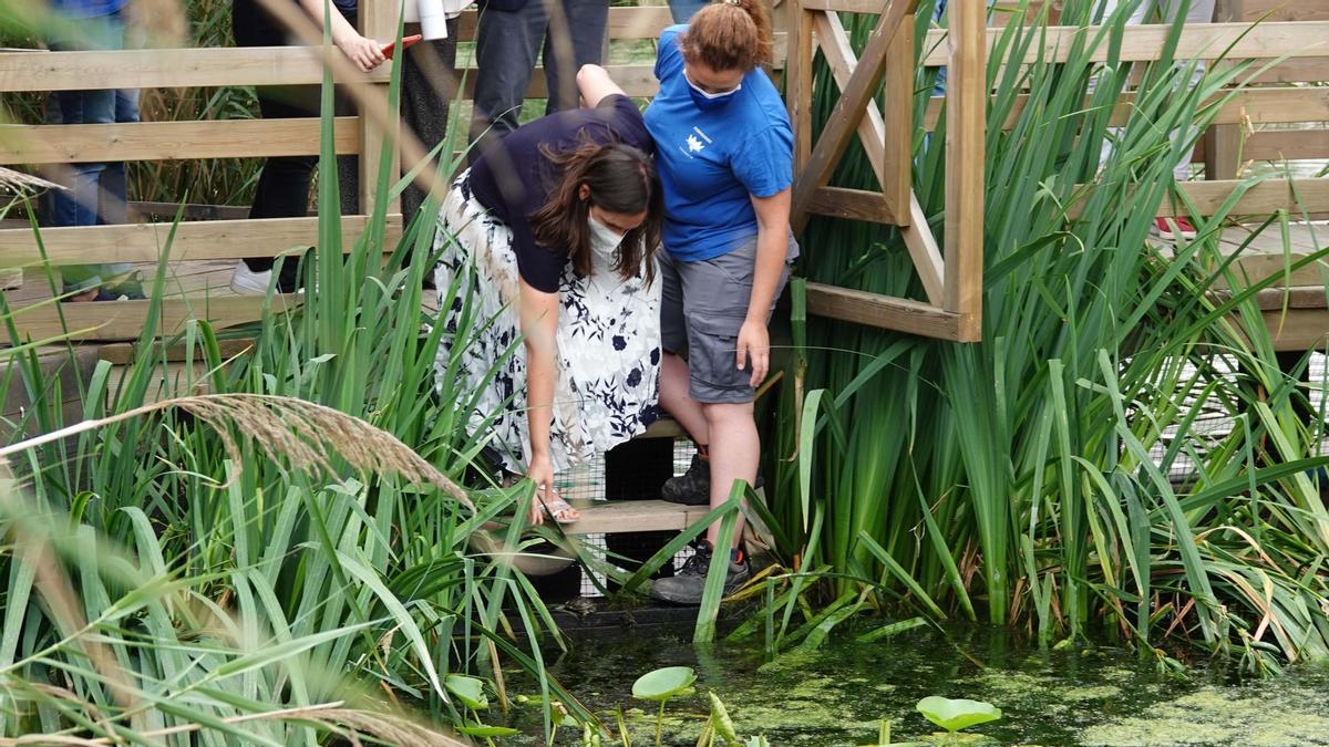 La concejala Elisa Valía deja una tortuga en la laguna.