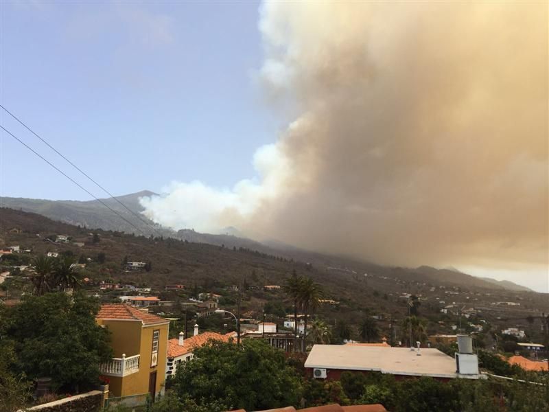 Incendio forestal en la zona de Montaña de Jedey