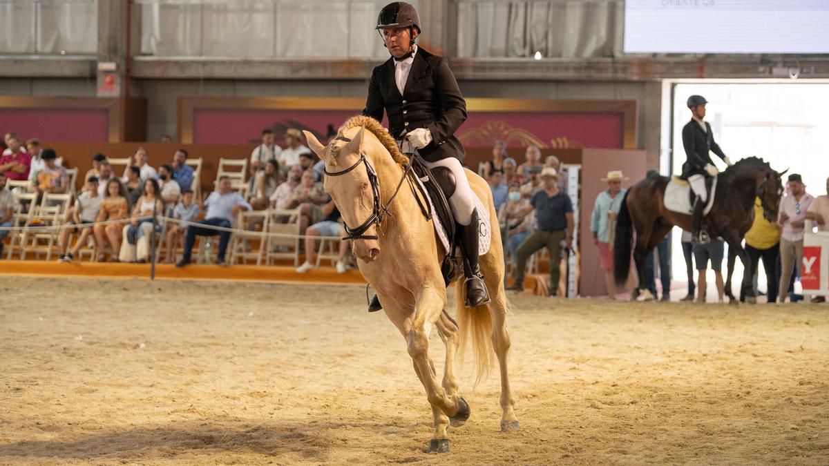 Un jinete con su caballo durante una competición en una de las pistas interiores de Ifeba.