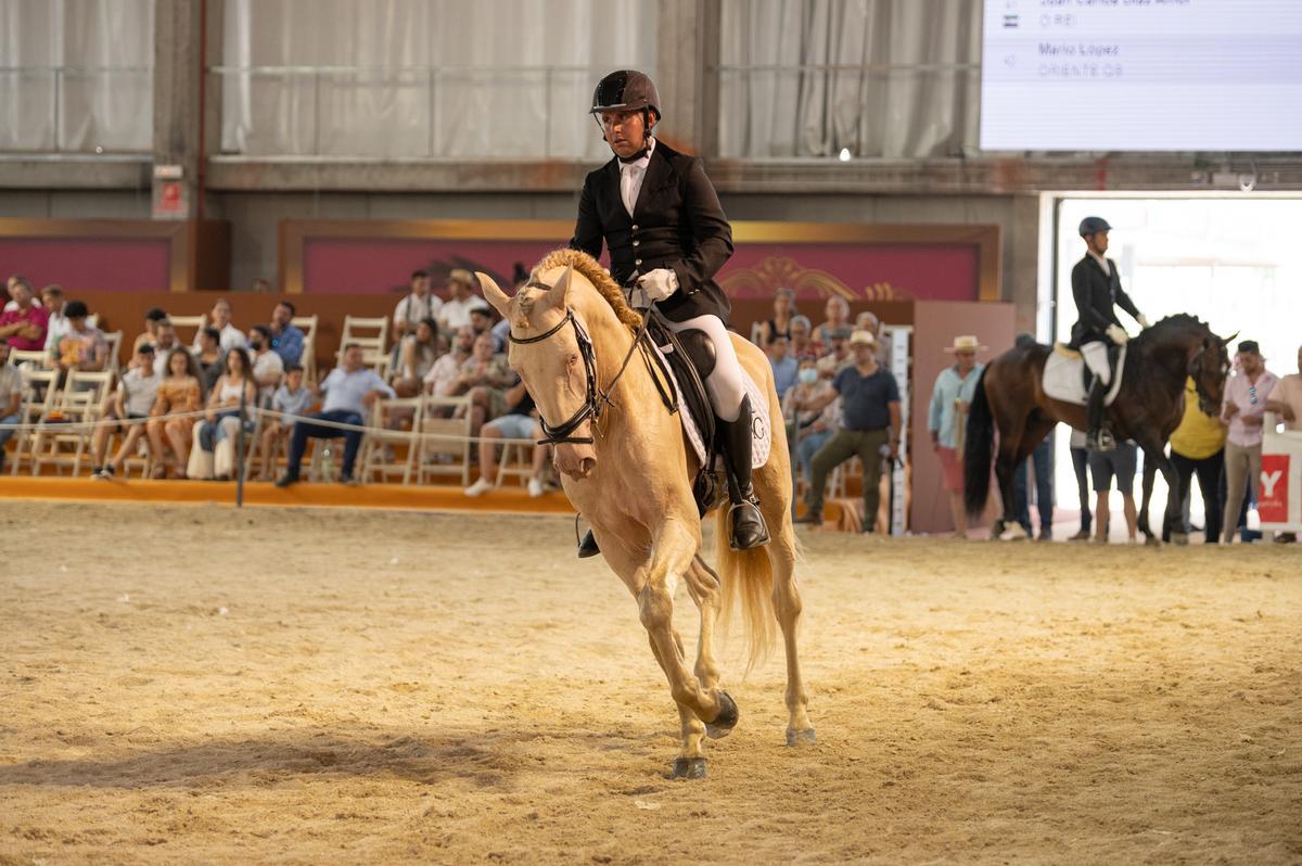 Un jinete con su caballo durante una competición en una de las pistas interiores de Ifeba.