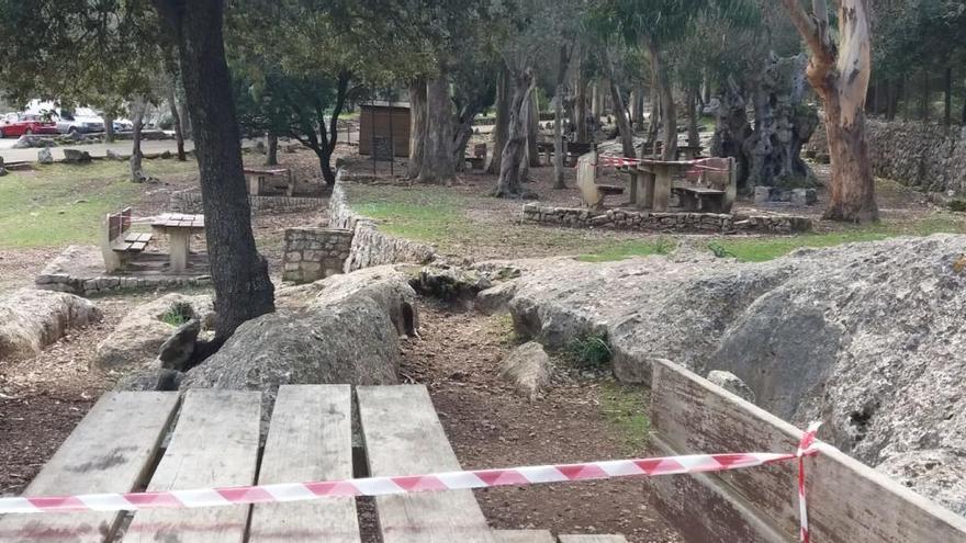 Die sonnigen Herbsttage hatten viele Ausflügler an die Picknickplätzen gelockt.