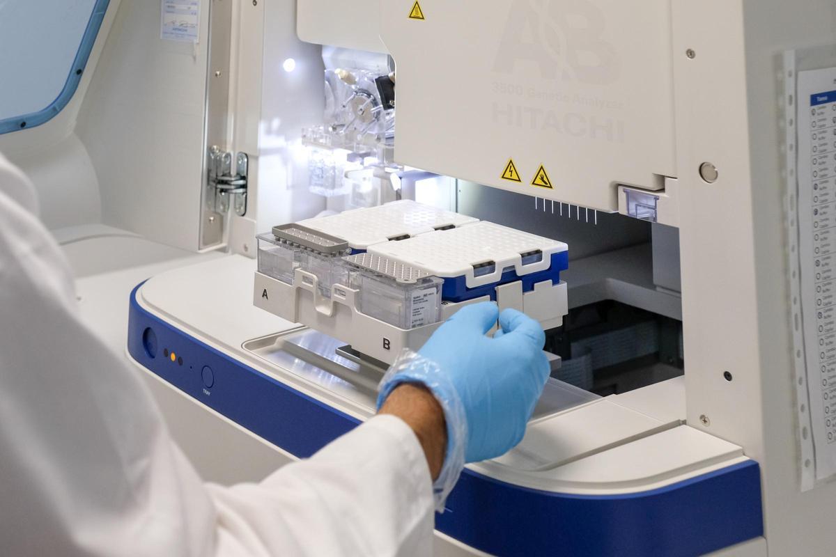 España lidera la investigación de genética equina.