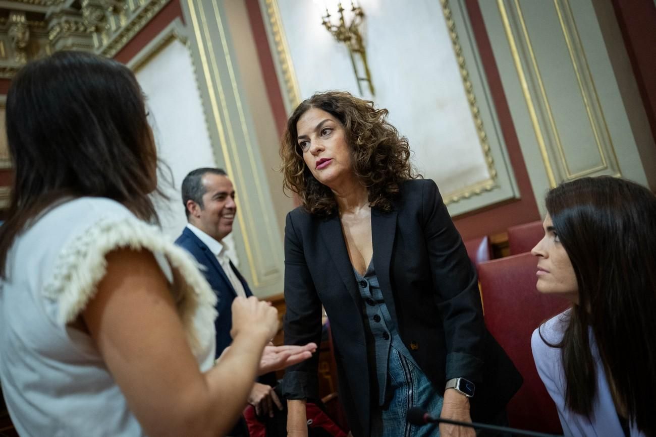 Pleno del Ayuntamiento de Santa Cruz de Tenerife del 29 de noviembre de 2024