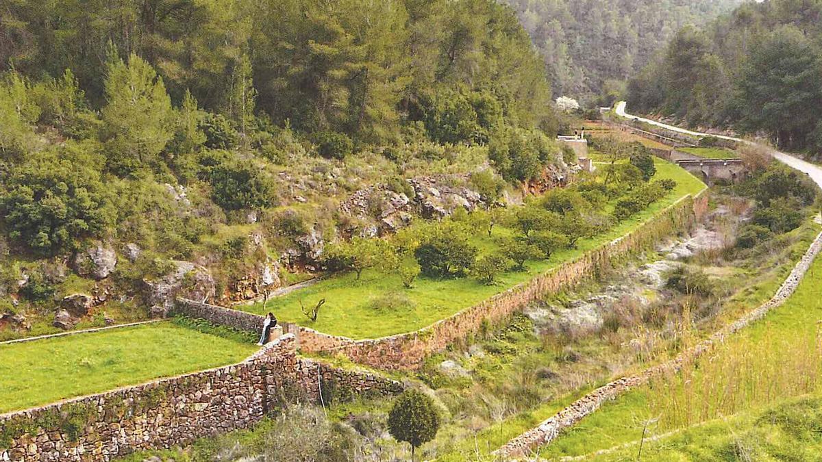 La colla de Can Bonet ha decidit recuperar el vall vora es Broll i el celebren el cap de setmana després de la festivitat de Sant Jaume (25 de juliol). 