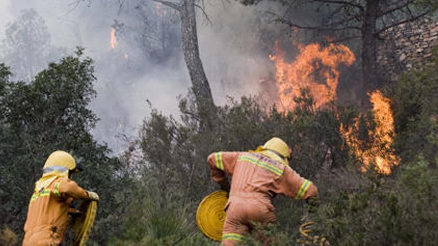 Bomberos en un incendio en el camino de Lliria, en Sagunto.