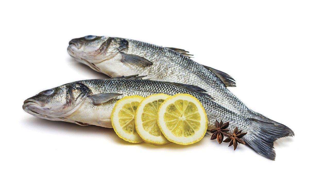 El pescado azul es uno de los alimentos que debes tomar para beneficarte del Omega 3.