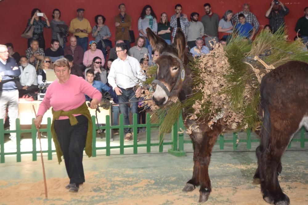 Feria del Burro y romería en San Vitero de Aliste