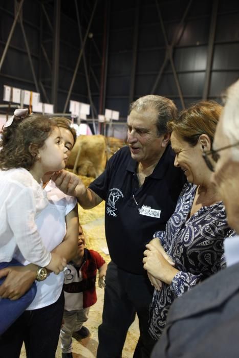 Feria ganadera de San Antonio