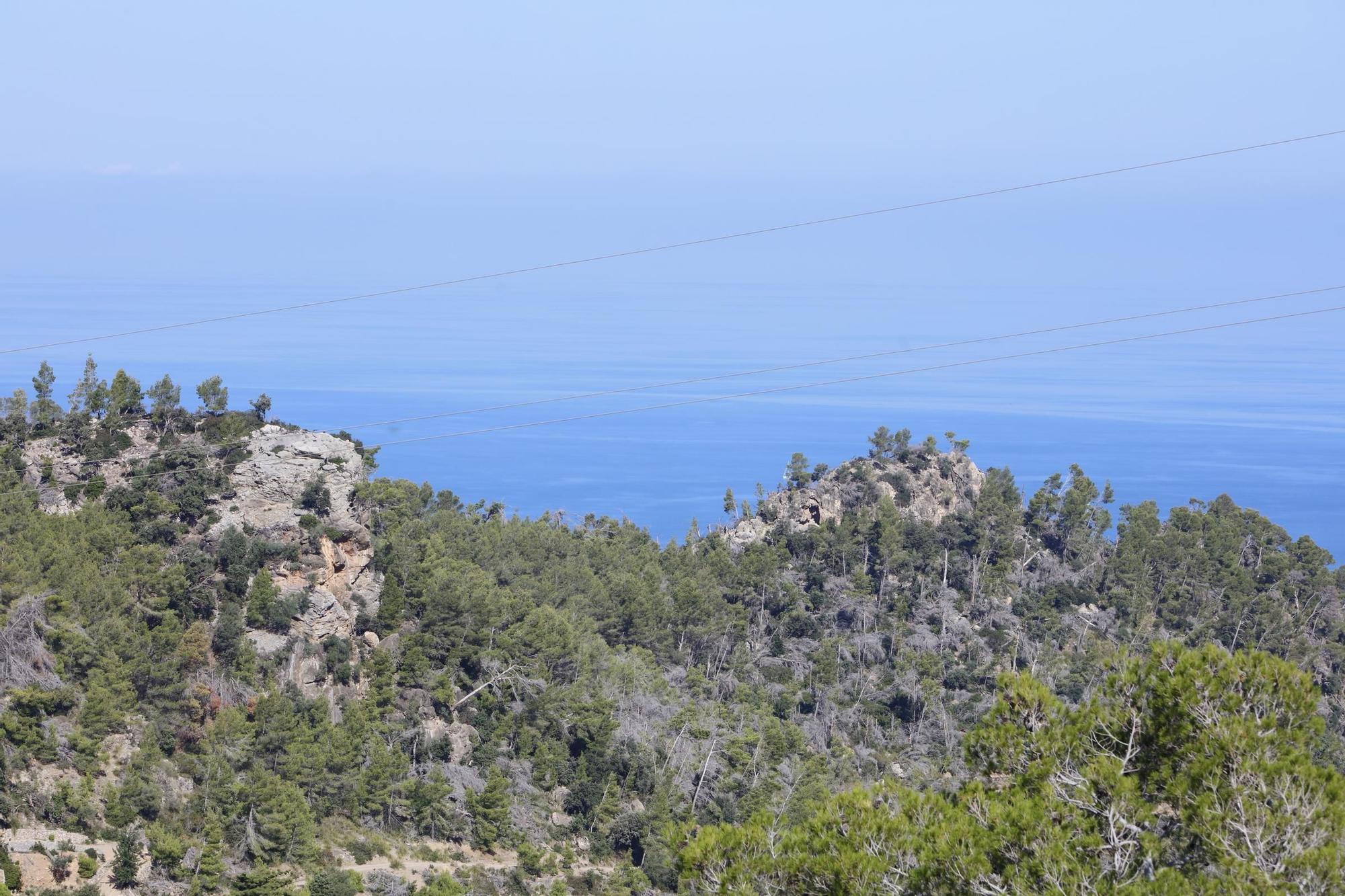 Urlaub auf Mallorca 2023: Mit dem Fahrrad unterwegs auf der Panorama-Straße Ma-10