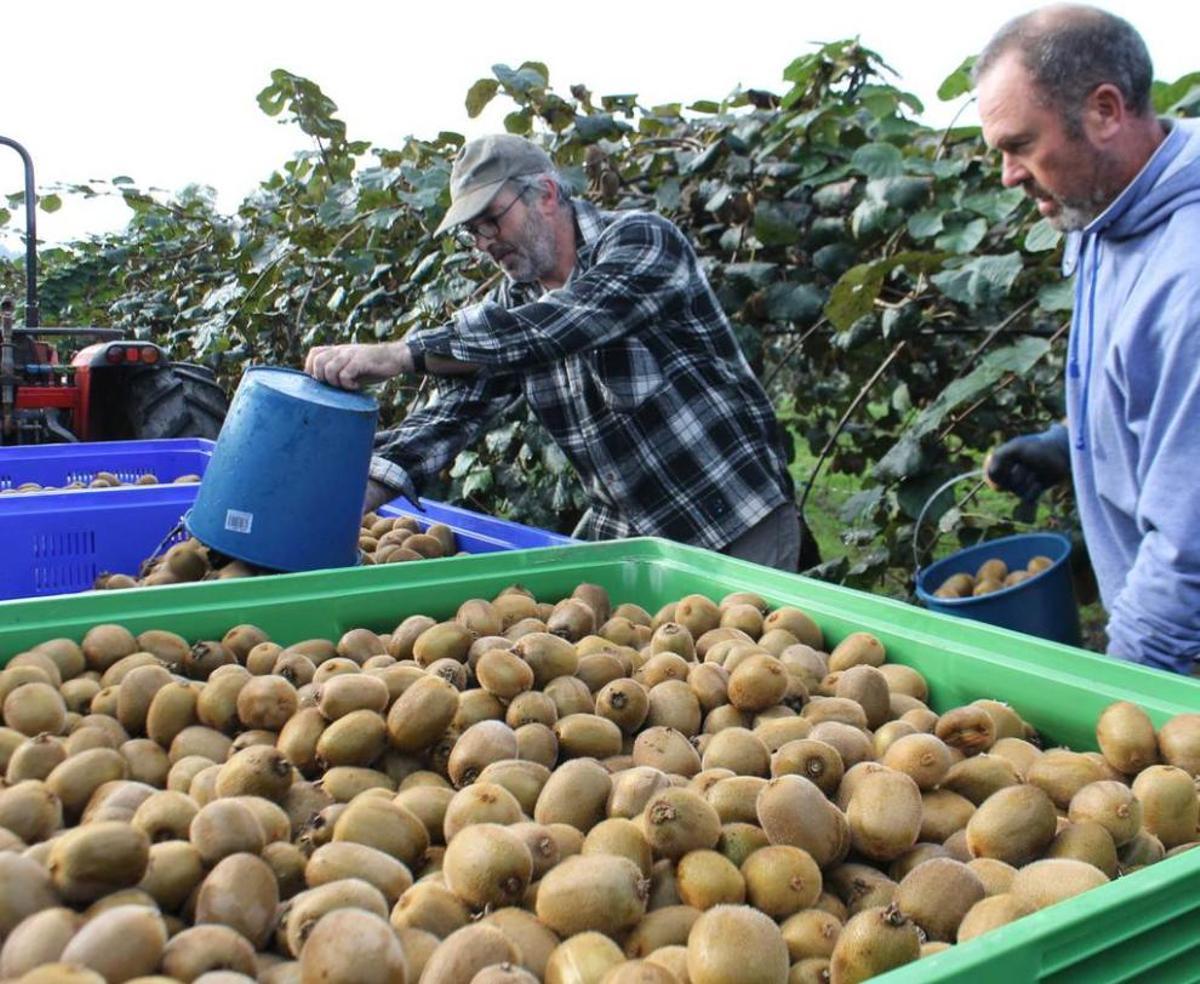 Asturias, paraíso frutero
