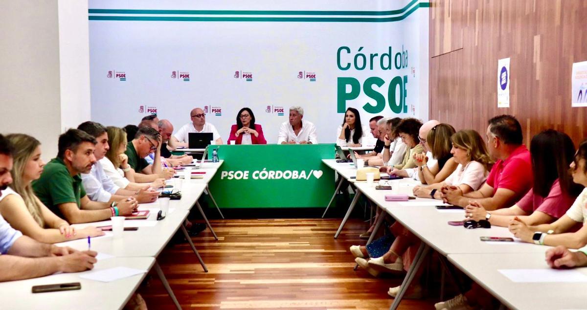 Comisión Ejecutiva Provincial celebrada este miércoles en la sede del PSOE de Córdoba.
