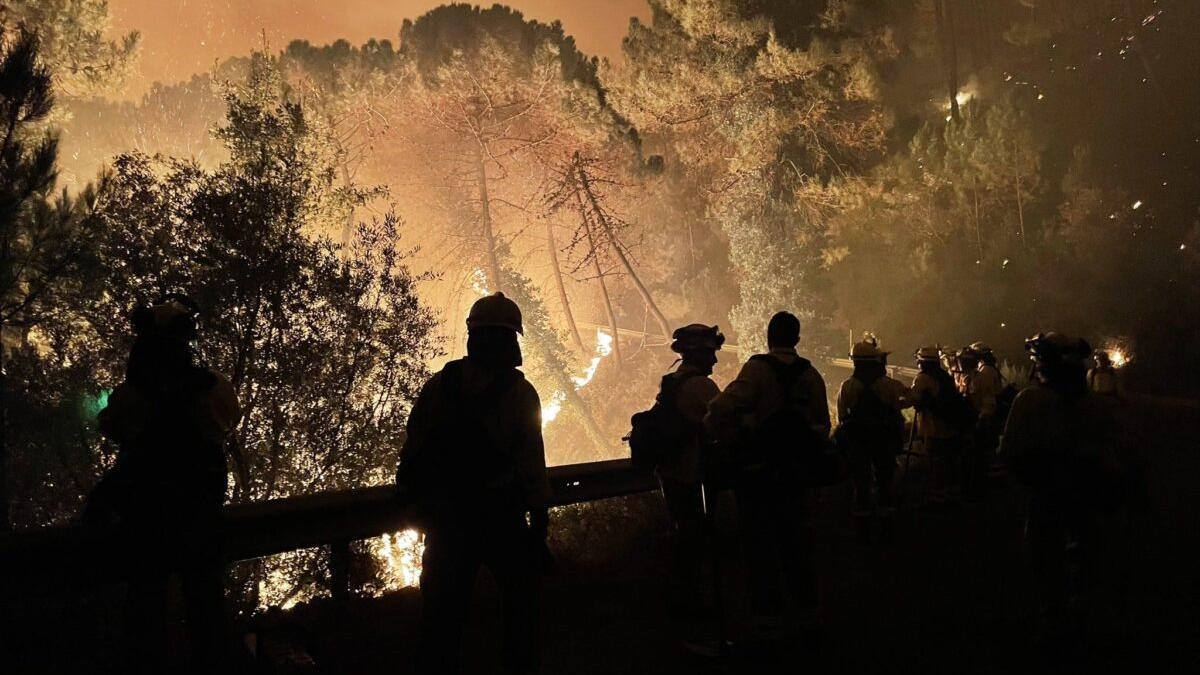 Efectivos del Infoca trabajan en el control del incendio de Sierra Bermeja