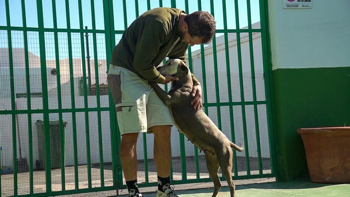 Un trabajador del Centro de Protección Animal de Arrecife, con uno de los perros.