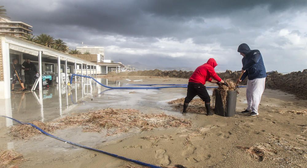 Efectos del Temporal Gloria en la ciudad de Alicante