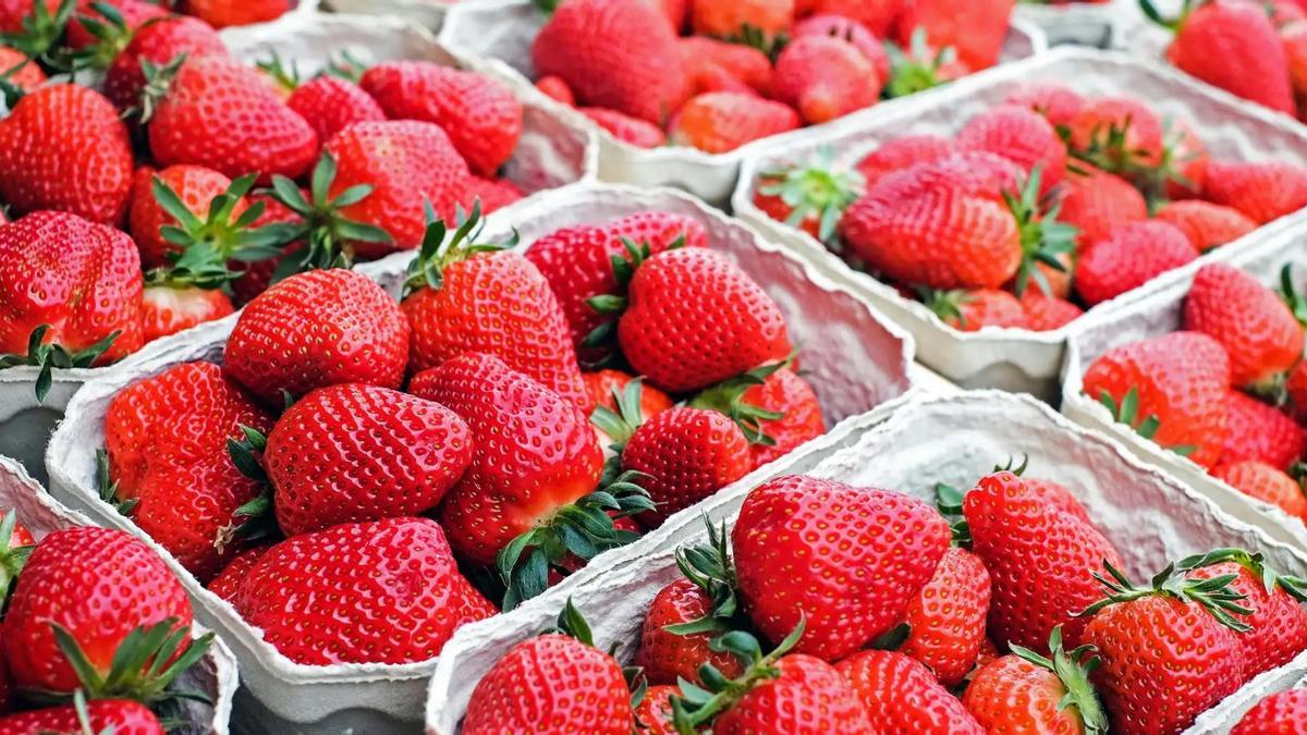 Alerta alimentaria por una partida de fresas de Marruecos infectadas con baterias de hepatitis A.