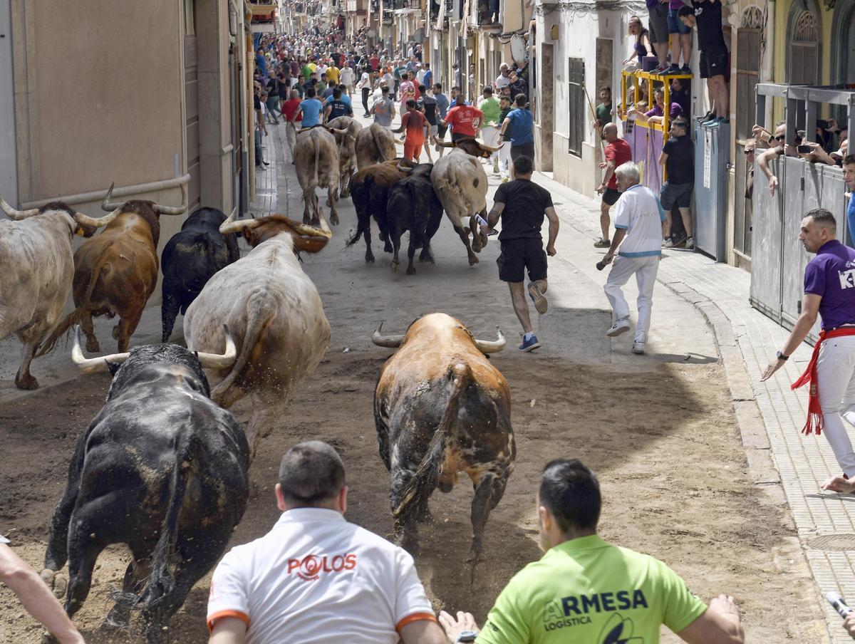 Tras la curva de la Picaora, los astados iban separados en la calle Mayor.