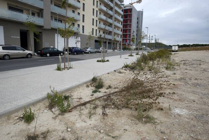 Fotogalería: Abandono de zonas verdes en Parque Venecia