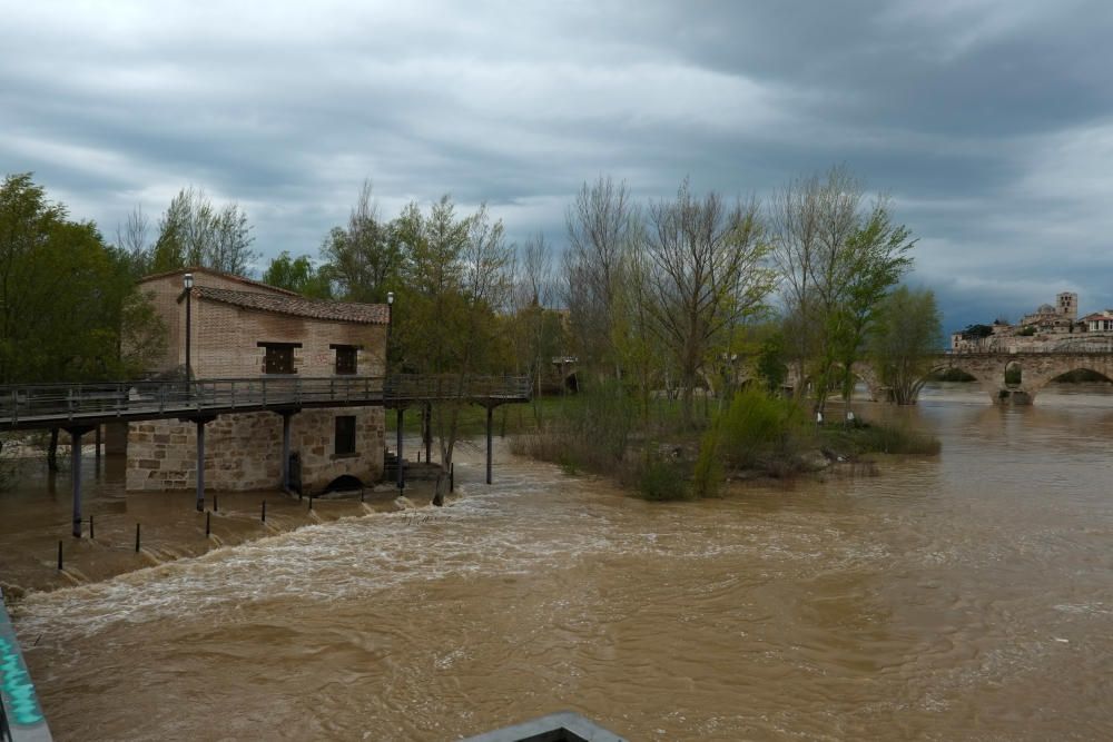 Crecida del río Duero