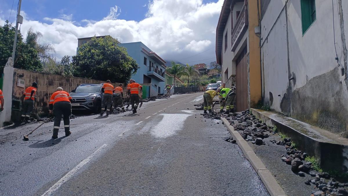 Trabajos de limpieza en Chasna, La Orotava