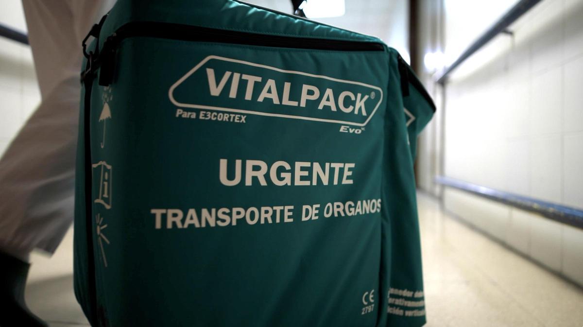 Nevera para el transporte de un órgano.