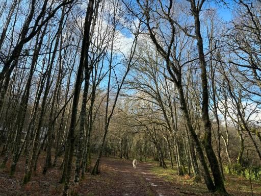 Un paseo entre colores y silencio por el arboreto de Begonte
