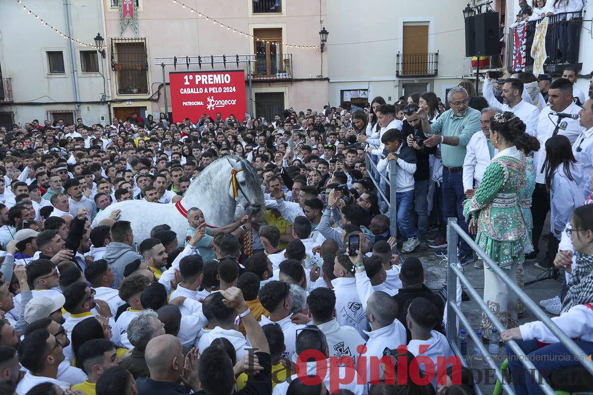 Entrega de premios del concurso de 'Caballo a pelo' en Caravaca