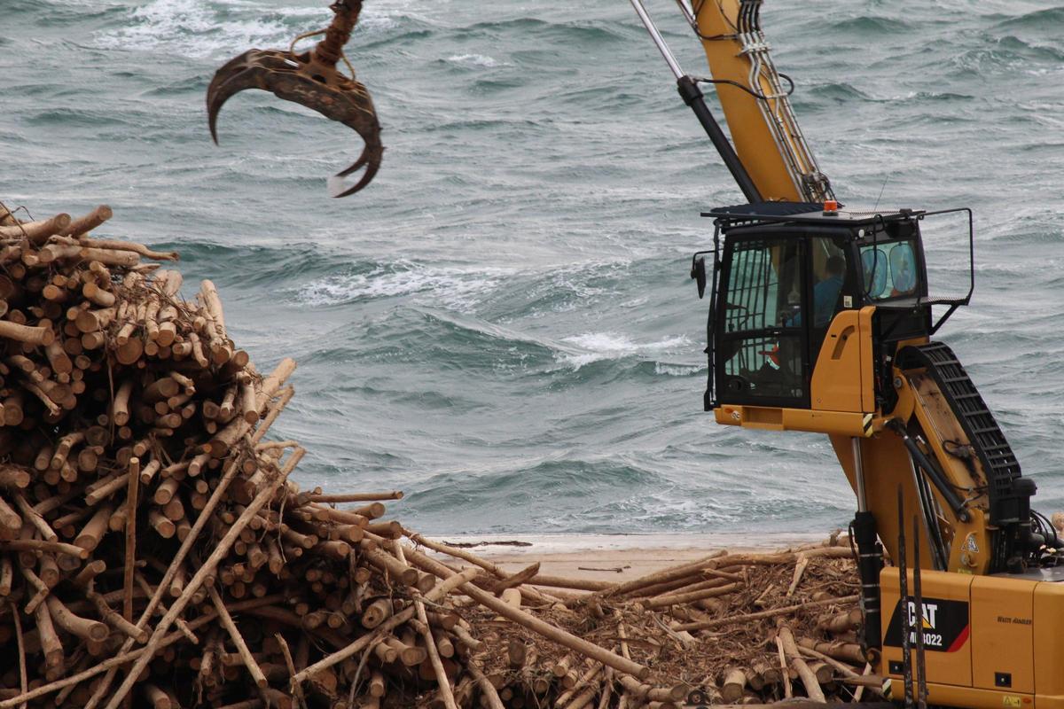 Carga de madera en el puerto ribadense.