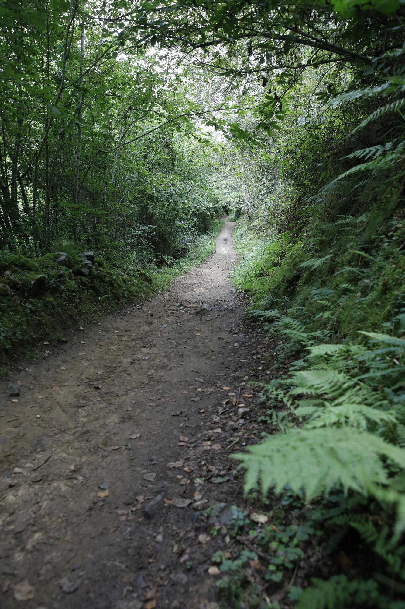 Ruta por Asturias: por el Camín Encantáu