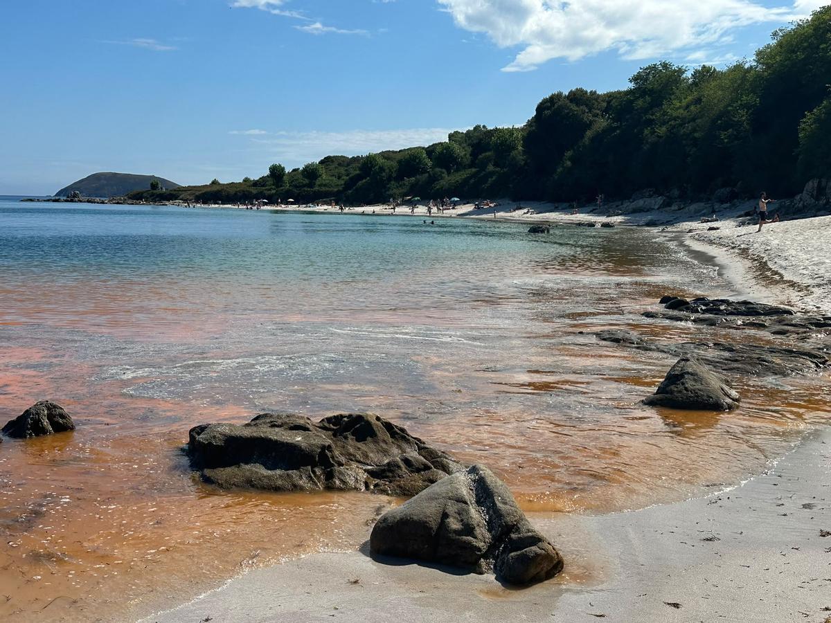 Llegada de la marea roja de microalgas a Ons.