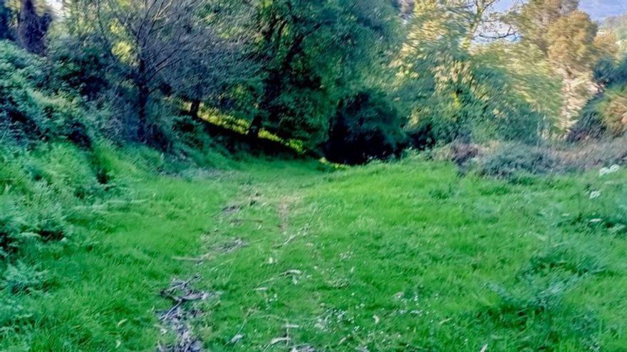 Aspecto actual del camino.