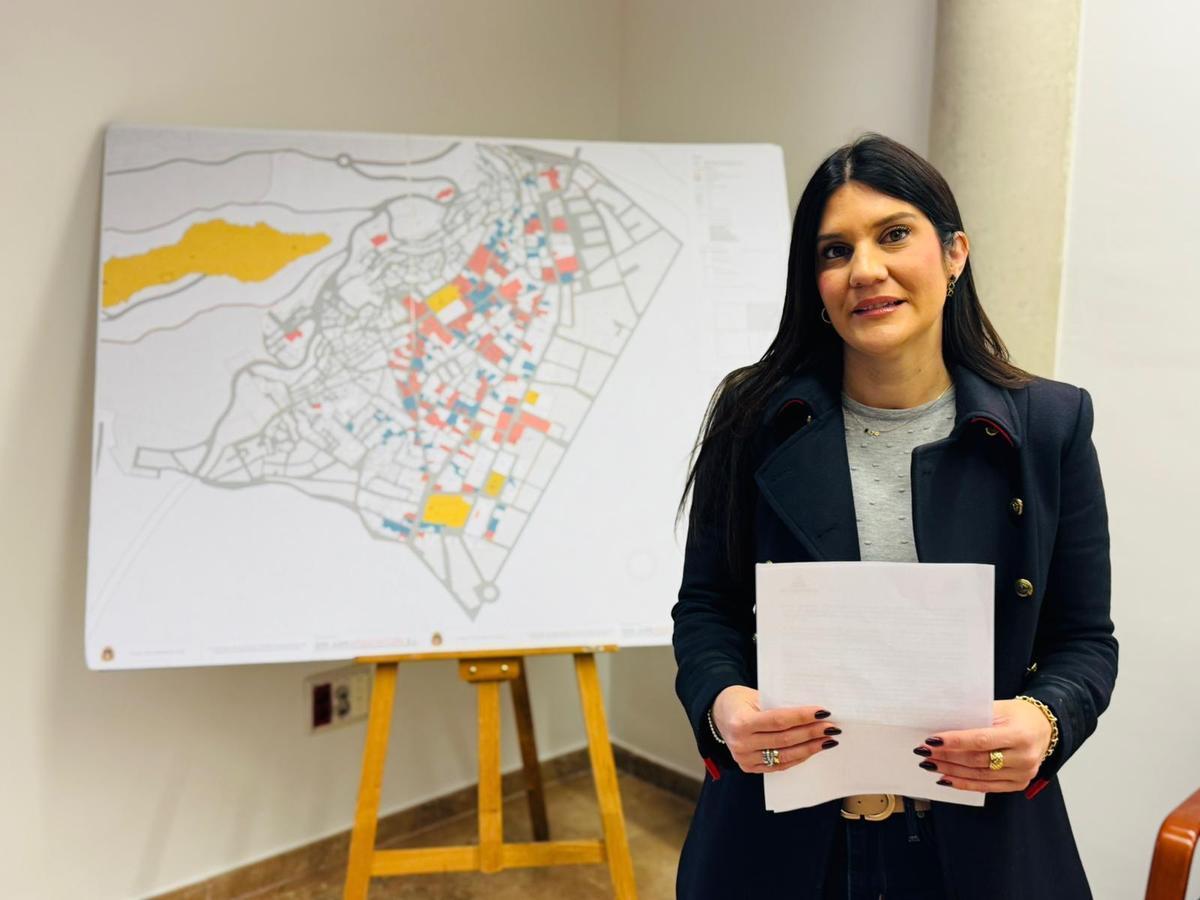 Hernández Benítez, tras su comparecencia.