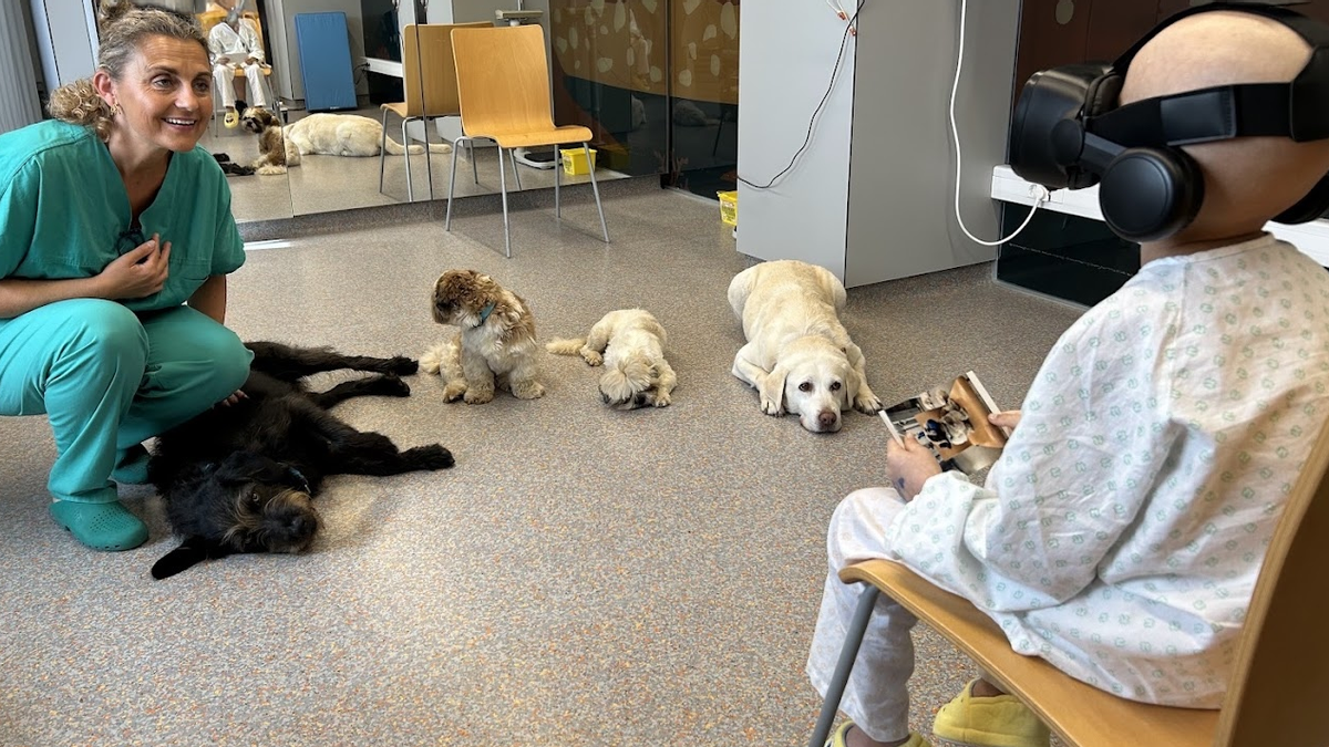 Perros y gafas de realidad virtual, la nueva terapia para pacientes menores oncológicos en el Hospital Materno de A Coruña