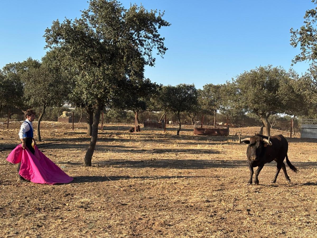 GALERÍA | Alumnos de la Escuela Taurina de Navas del Rey participan en una retienta en la ganadería Toros Villalpando
