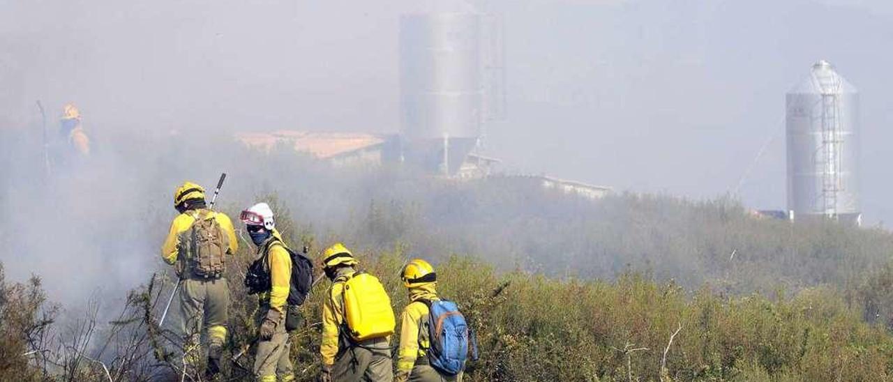 Un grupo de bomberos, en un incendio en montes de Bidueiros, Dozón. // Bernabé/Javier Lalín