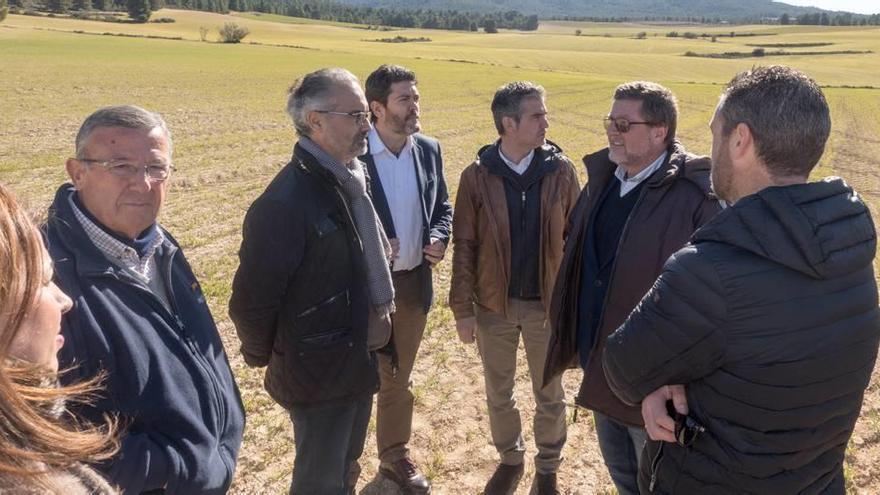 El consejero Del Amor, Moreno y Sánchez visitaron en la mañana de ayer la finca &#039;Coto Rosellas&#039;.