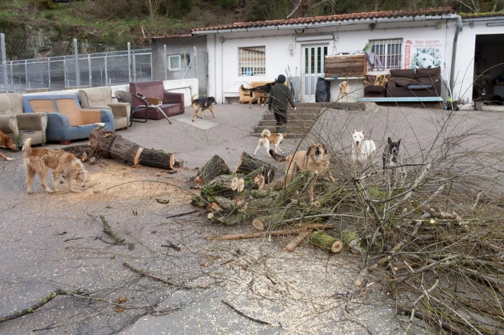 El temporal sacude Ourense