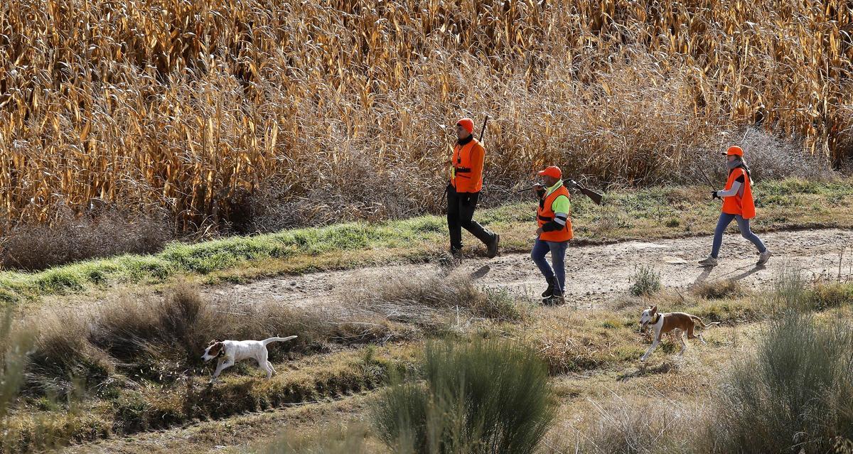 Cazadores en una partida de caza en la provincia de Huesca en una imagen de archivo.