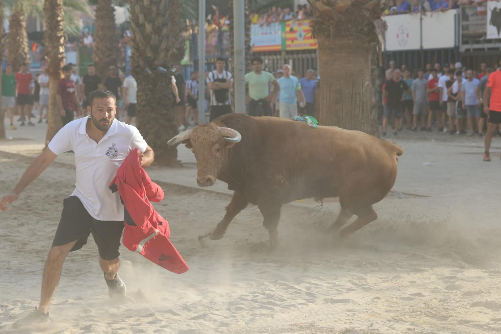 Galería | Intensa jornada taurina en Sant Pere 2025