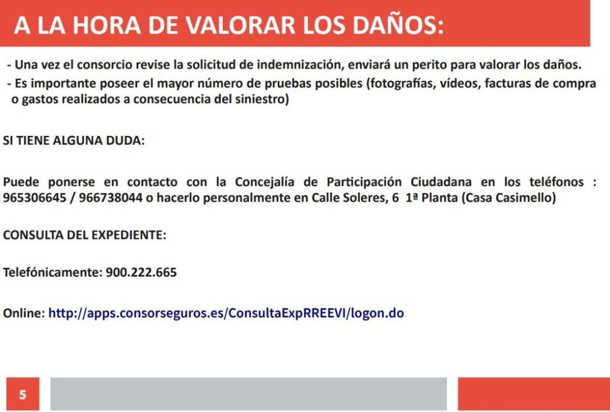 Gota fría en la Vega Baja: Los agricultores cifran en 550 millones las pérdidas en el campo de la provincia de Alicante