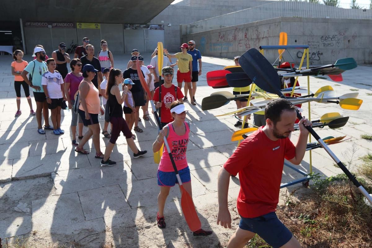 Un caimán por el Guadalquivir