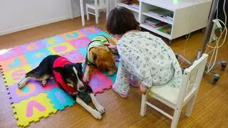 Visitas caninas que arrancan sonrisas a niños hospitalizados: “Es como un día especial”