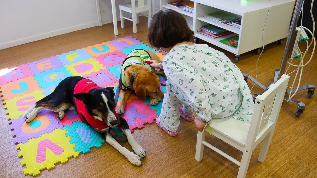 AVOI retoma la terapia canina en el Hospital Materno