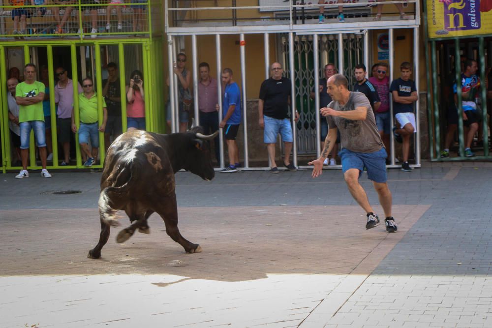 Fiesta de la Vaca de Castalla