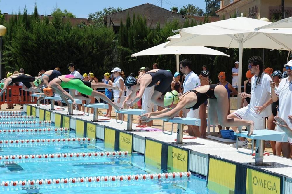 Trofeo Ciudad de Murcia