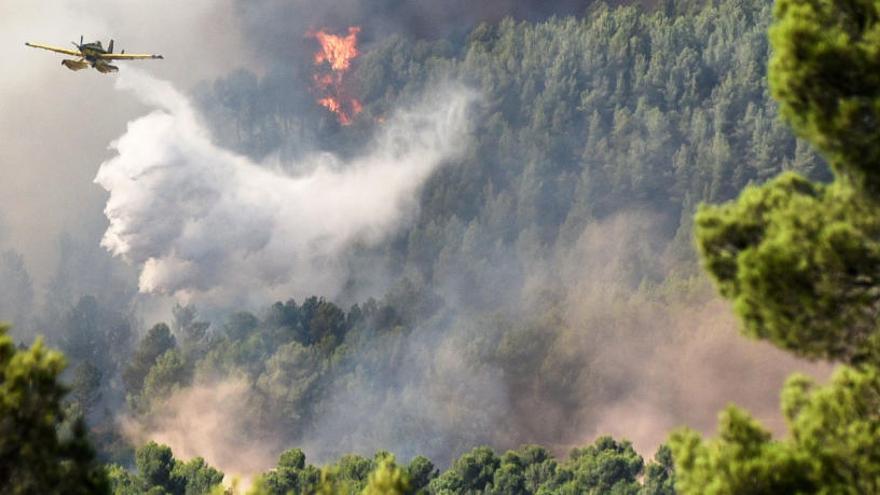 Bombers apagant un incendi forestal, aquest estiu, al Bages.