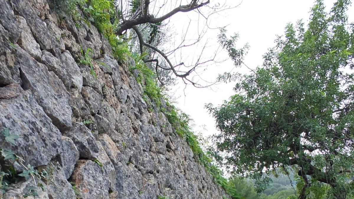 La ‘pedra en sec’ configura
el paisaje de la Serra 
de Tramuntana. |  JOAN MORA