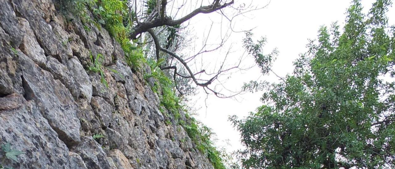 La ‘pedra en sec’ configura
el paisaje de la Serra 
de Tramuntana. |  JOAN MORA