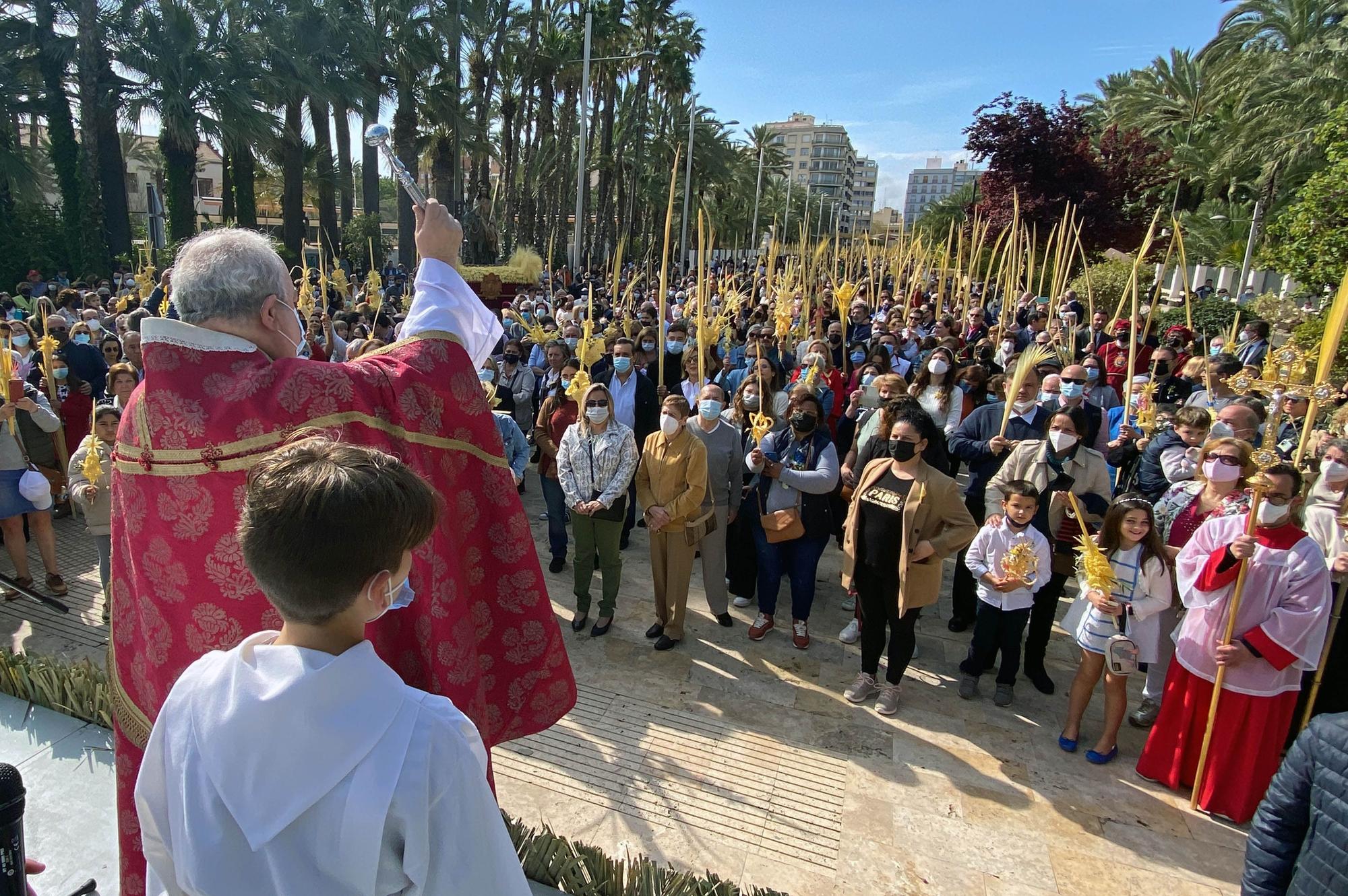 Domingo de Ramos en Elche