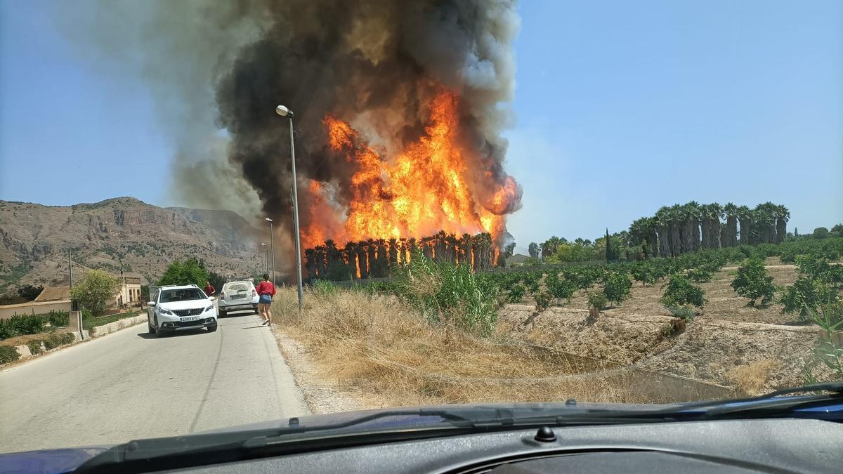 Momento en el que las llamas tomaban más fuerza antes de que llegaran los efectivos del Consorcio Provincial de Bomberos